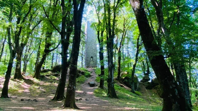 Faggeta vetusta patrimonio Unesco